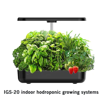 12 Struky Hydroponics Rastúci Systém Krytý Bylinkovej Záhrady S Led Rásť Svetlo Smart Záhradný Kvetináč Na Domácej Kuchyni Automatický Časovač